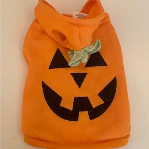 Jack-o-lantern dog costume